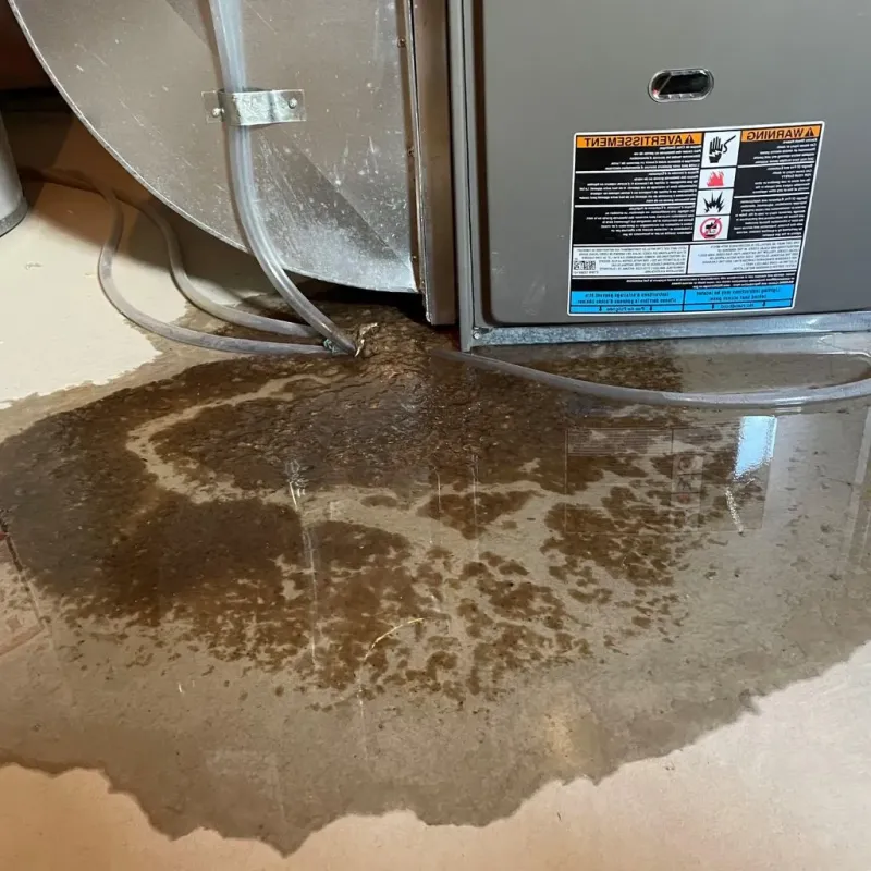 Pipe Burst and Leak Restoration in Glens Falls, NY